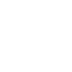 Graphic icon to symbolize fast shipping