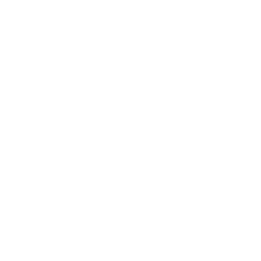 Graphic icon to symbolize secure checkout